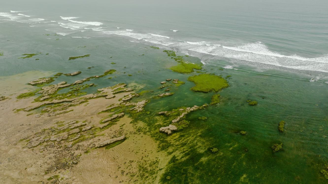 Understanding Nutrient Cycling between Algae and Bacteria Could Lead to  Increased Biofuel Production | Environmental Molecular Sciences Laboratory
