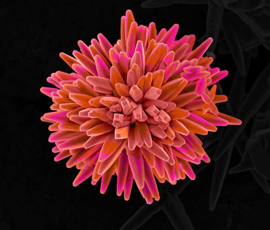 Microscopic image of pink and orange Anatase anatase mineral