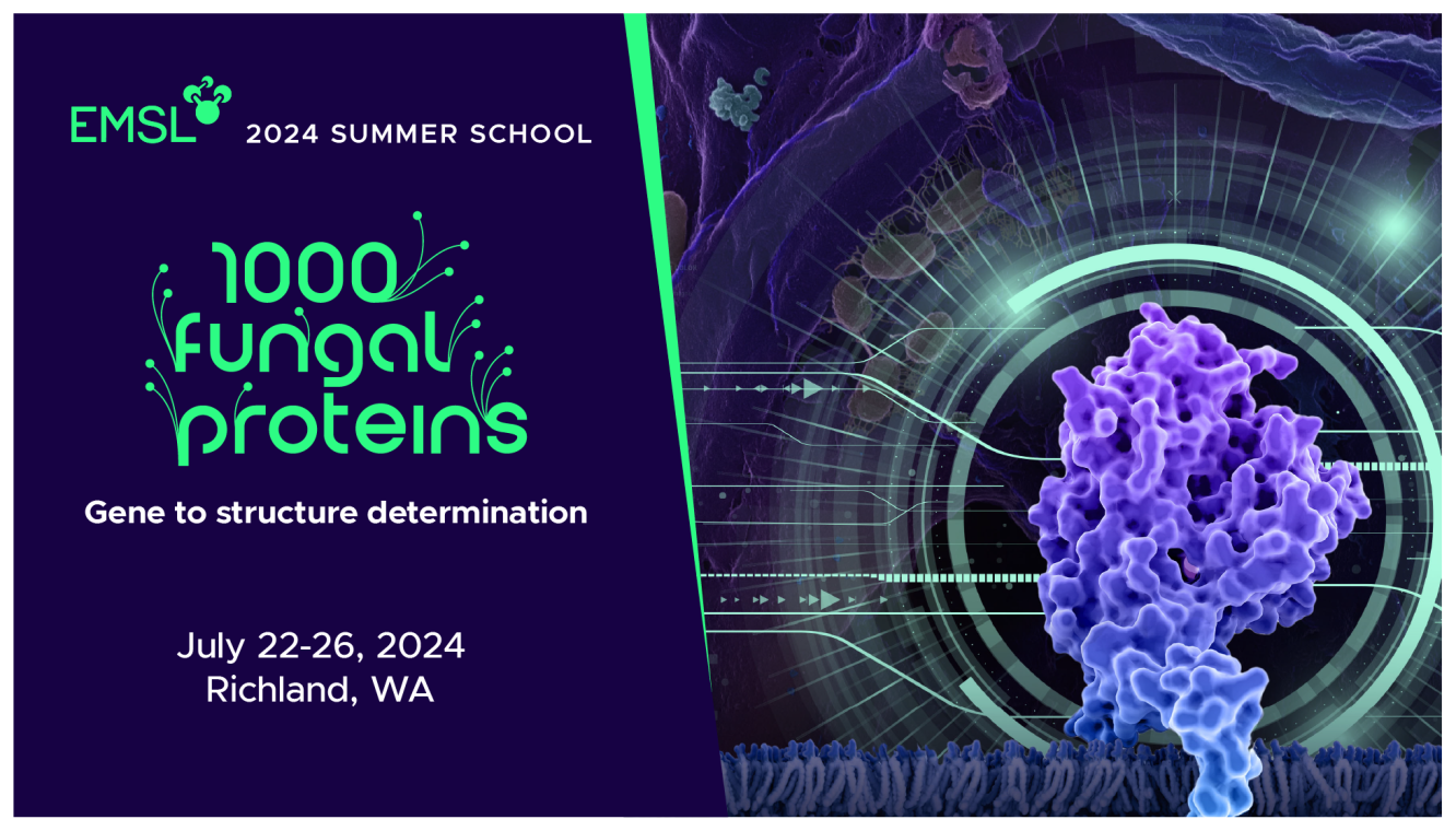 EMSL 2024 Summer School. 1000 Fungal Proteins: Gene to structure determination, July 22-26, 2024. Richland, WA. An illustration of a fungal protein.