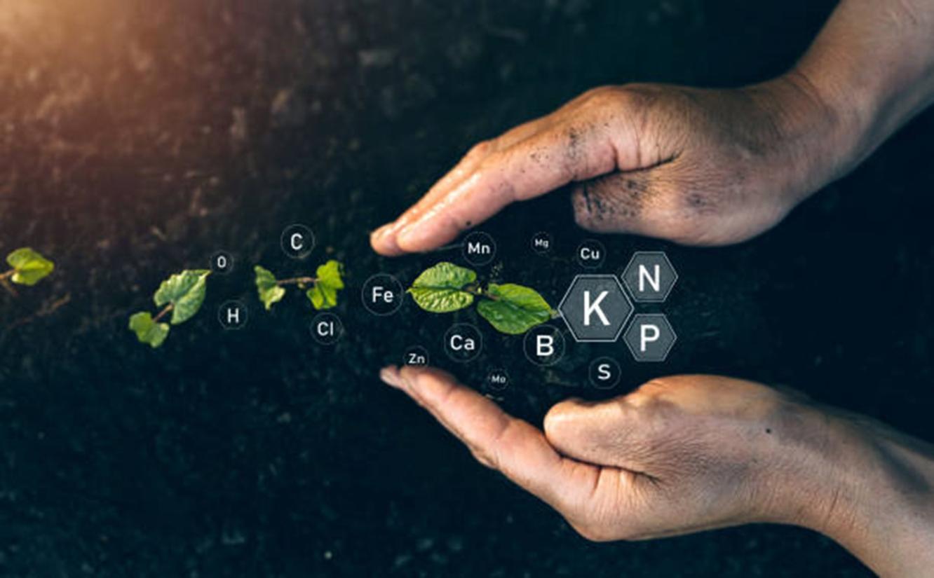 Open hands gently hold a small plant growing from the soil. Overlaid on the image are hexagonal icons representing chemical elements essential for plant nutrition, such as potassium (K), nitrogen (N), phosphorus (P).