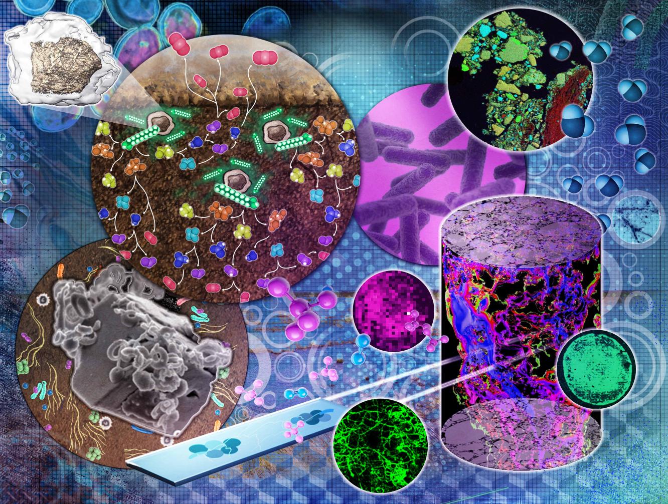 Colorful and detailed scientific collage highlighting various microscopic and molecular structures, including cells, bacteria, and molecular models.