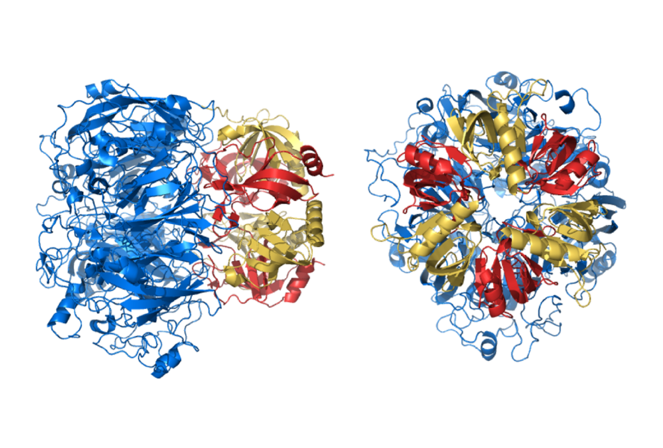 Mnx cryoEM structure