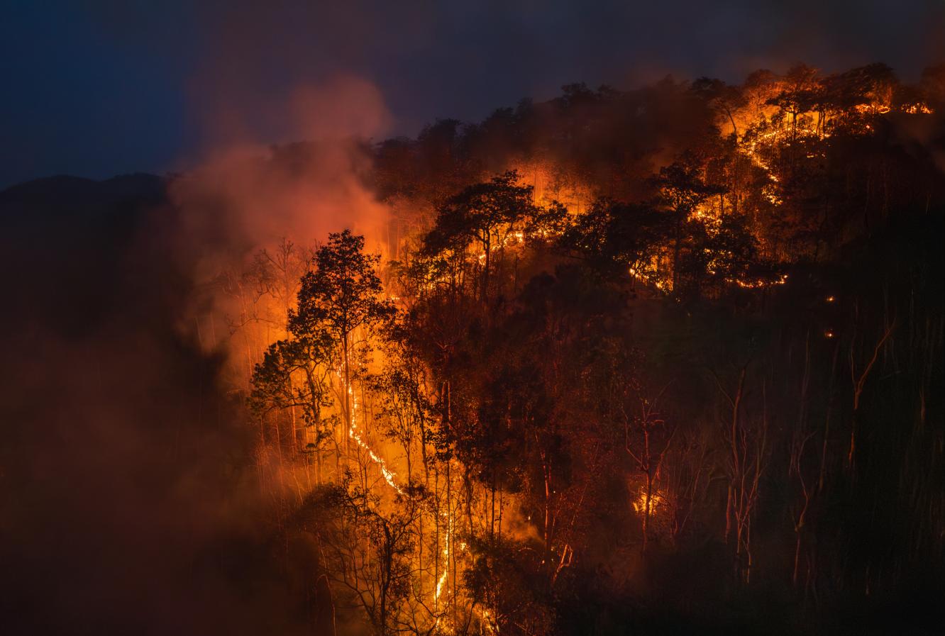 Smoke emerges from trees burning in a wildfire on a mountainside