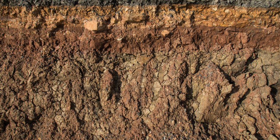 soil
