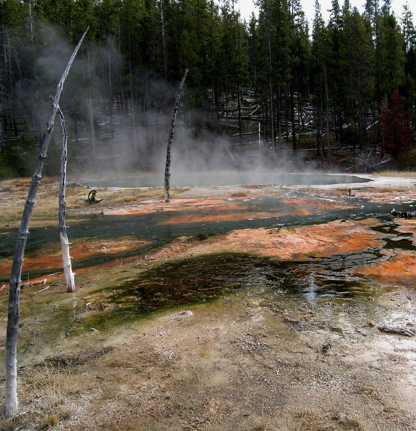Octopus Spring