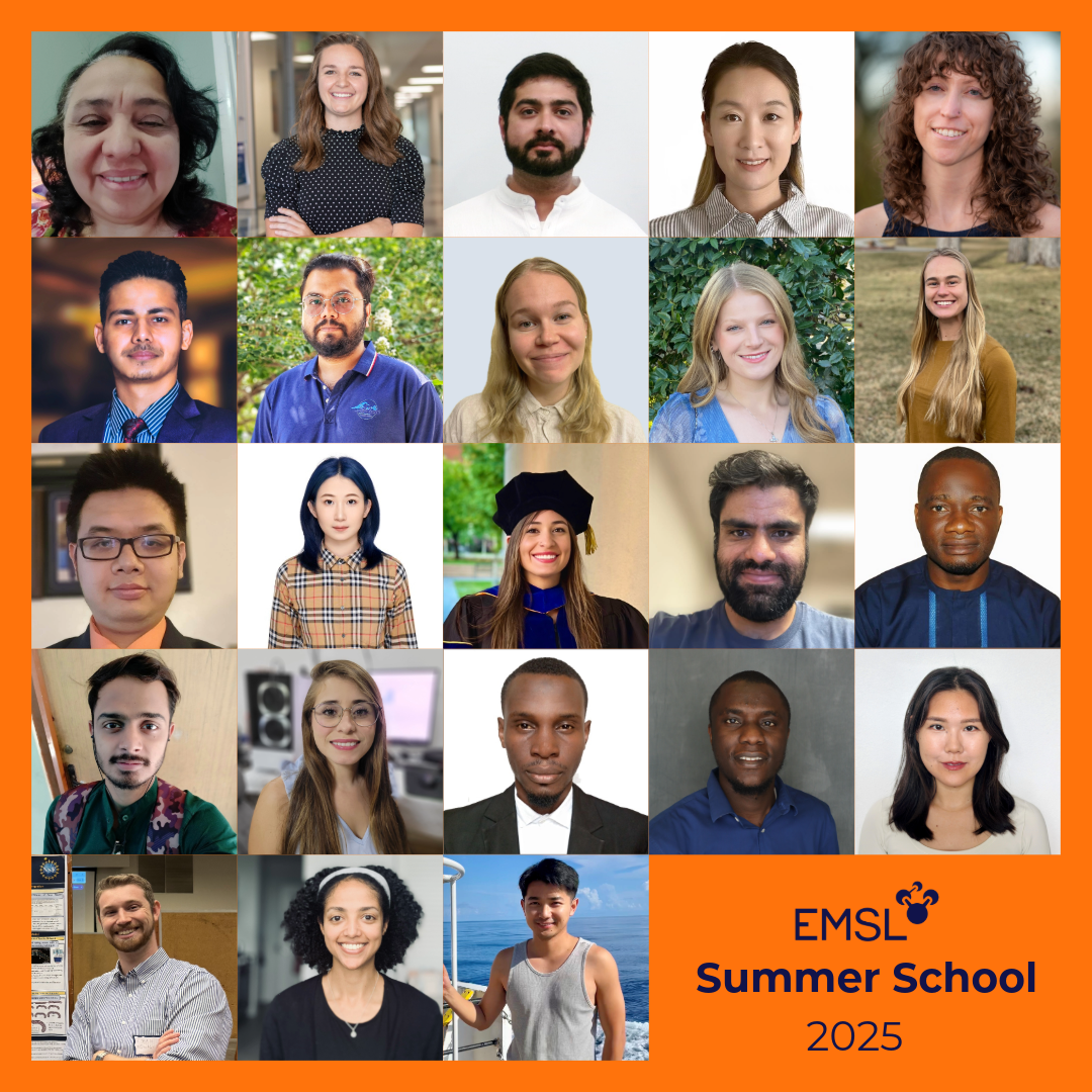 24 people organized in a grid. EMSL logo. Below the logo, it says Summer School 2025.