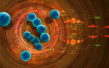 Some bacteria can break down lignin molecules in woody plants to produce phenolics, molecules for biofuels, and renewable chemical feedstocks.