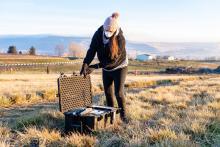 Emily Graham collects soil cores in the field.