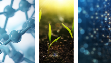 atoms, growing plants and soils, and data points