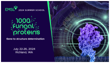 EMSL 2024 Summer School. 1000 Fungal Proteins: Gene to structure determination, July 22-26, 2024. Richland, WA. An illustration of a fungal protein.