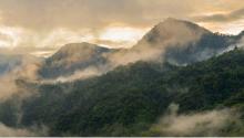 Tree-covered mountain landscape with clouds and steam rising from the trees