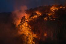 Smoke emerges from trees burning in a wildfire on a mountainside