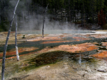 hot springs at Yellowstone