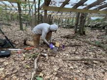 Person  in hooded long-sleeved shirt collects soil cores in leaf-covered area.