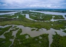 Drone photo of swamp wetlands near the Texas-Louisiana border.