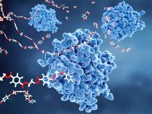 Illustration depicting PETase molecules breaking down PET-plastic.
