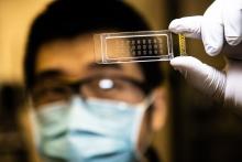 person holding transparent chip